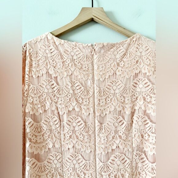 Jessica Howard Lace Illusion Sheath Dress in Peach - Size 14W - Picture 5 of 7